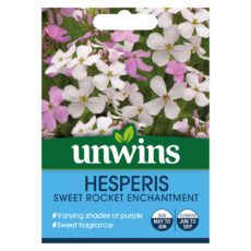 5051618011020 1 Hesperis Sweet Rocker Enchantment Seeds.jpg